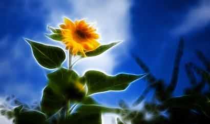 1975年属兔明年换大运 75年属兔人2025年运势