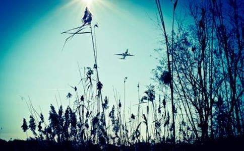 有福的额头有哪些呢