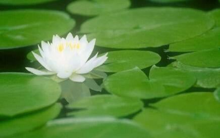 偏财偏印偏官三偏的女性