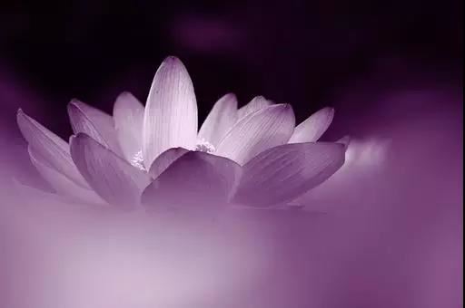 下牙掉了代表什么预兆