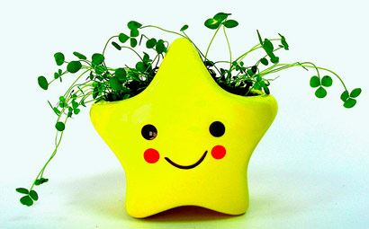 最容易发福的属相女人 婚后最容易发福的属相女性