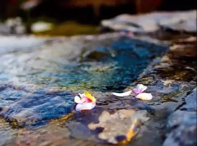 1998年2月9日是什么命，出生时辰看一生命运