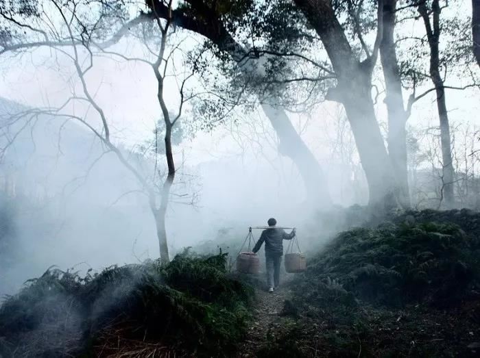 三纲五常是谁提出的？三纲五常的起源