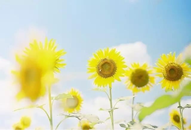 缘时空第二集  缘时空第11集