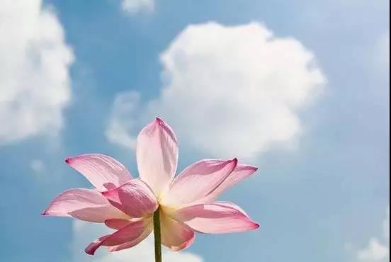 阴宅风水如何选择需要注意哪些问题