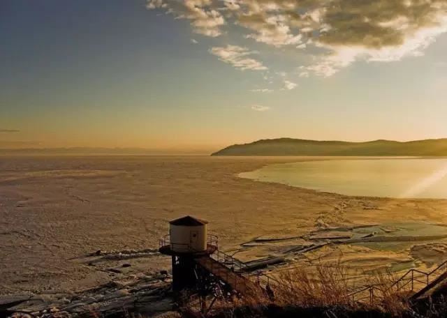 月巨蟹柳宿,月亮巨蟹的星宿