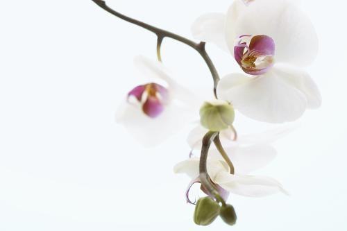 超甜情侣名字双人一对 2025情侣名字超甜一对