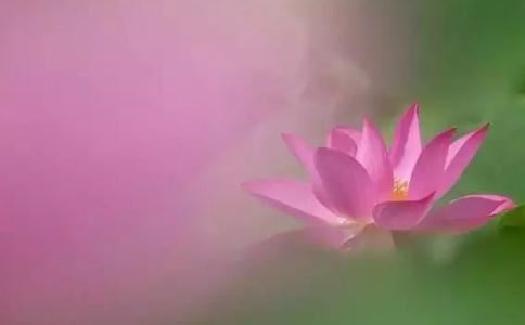 风水中如何寻找水口吉凶