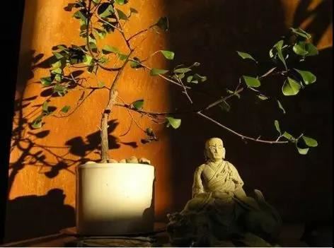 姜子牙算命很准 姜子牙的八字命盘