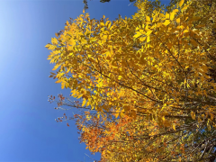 想知道未来对象的长相，就看这一篇