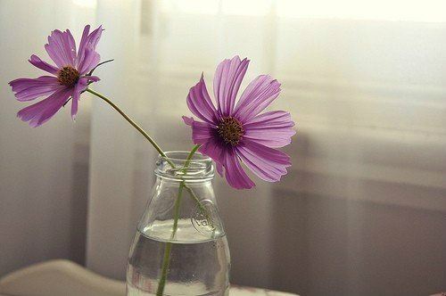 清明节扫墓孕妇可以去吗？2025清明后一天适合扫墓吗？