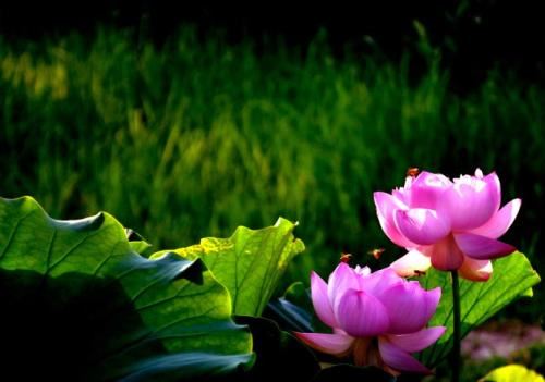 2026年1月3日出生的五行旺衰