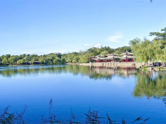 最权威的名字打分平台