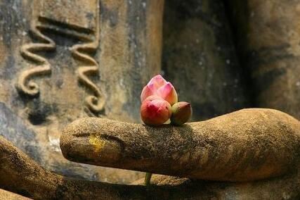 佛门消灾牌位的供法  寺院祈福牌位和消灾牌位