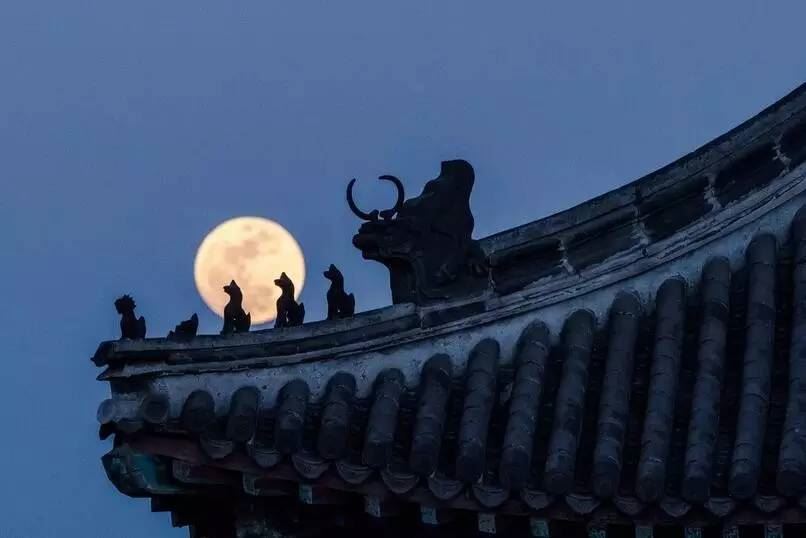 2003年3月25日出生的人命好吗 是什么命