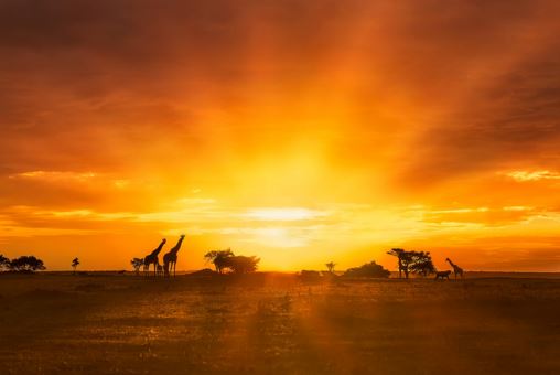 2026年1月15日出生的五行旺衰