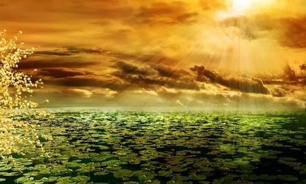 92年属猴31岁牢狱之灾是真的吗 有何说法