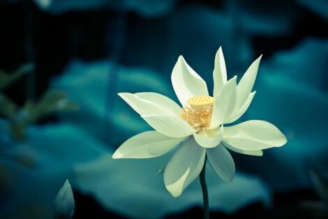 好听的姓氏男 好听姓氏男存在吗