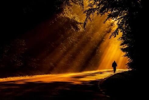 办公室窗台摆放物品有哪些讲究？灯光都有什么要求的吗？