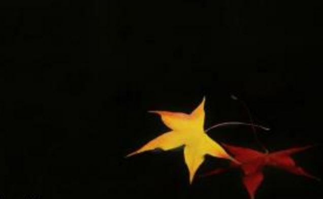 属龙人在2025年农历十一月领证好吗？