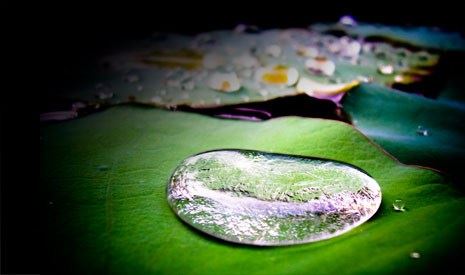 蔡姓古典名字男孩