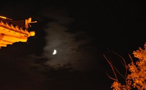 梦到看见一架飞机在眼前坠毁 你梦到飞机坠毁了吗