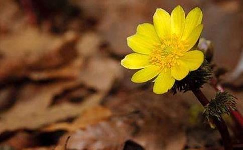 塔罗合姻缘有用吗 塔罗合盘准吗？