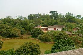 立秋和秋分有什么区别？立秋和秋分哪个更早？