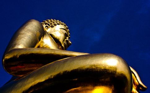 八字中甲乙木详解 甲木遇乙木大运