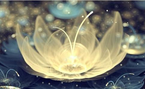 2025年蛇年农历三月二十一日能求婚吗？