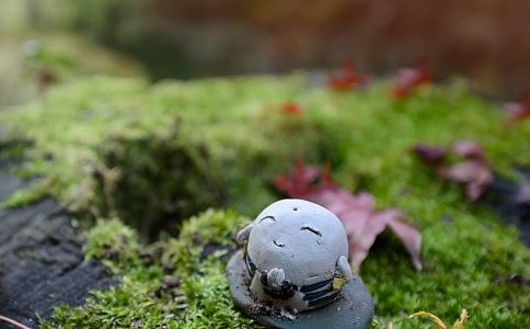 据说这就是很多寺庙会将韦陀和观音一起供奉的缘由