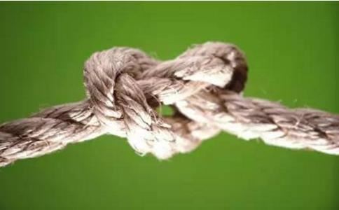 姓蔡女孩的名字大全