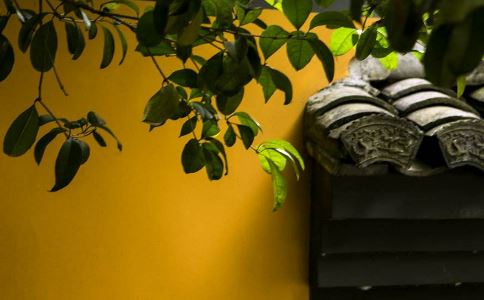 “我老公因为这个和我离婚”杭州女子白天家中遭遇劫财劫色，教科书式自救