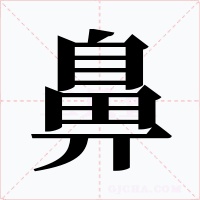 鼻