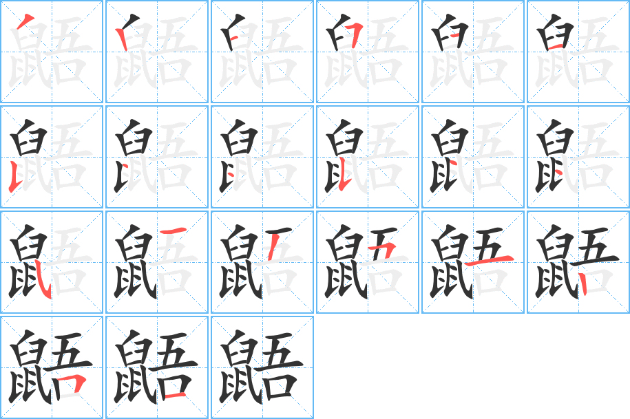 鼯的笔顺写法
