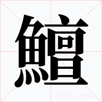 鱣