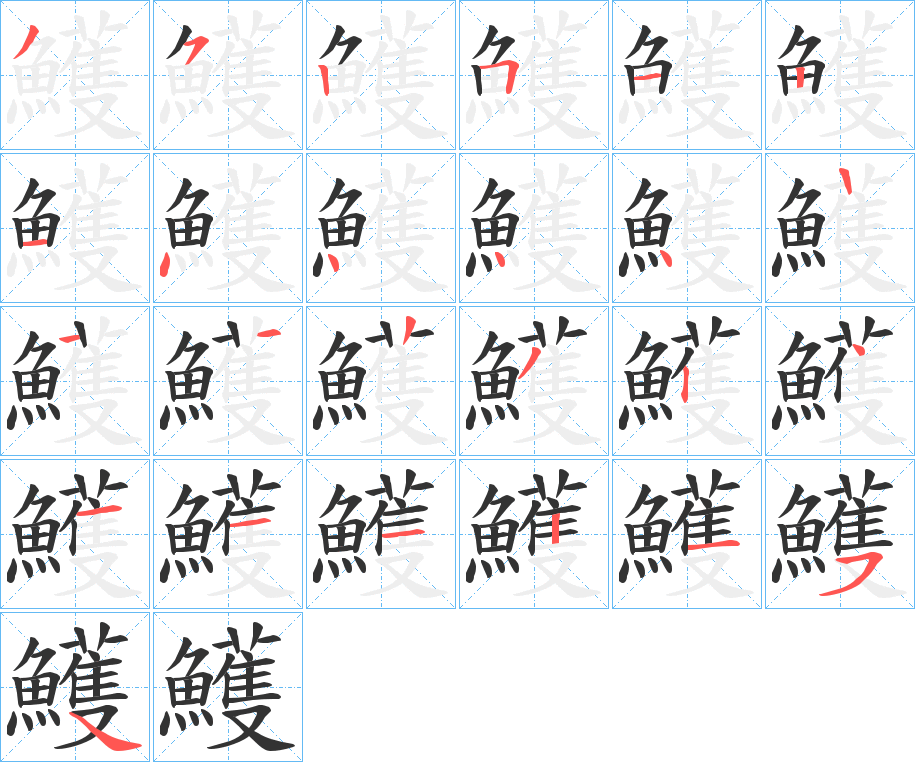 鱯的笔顺写法