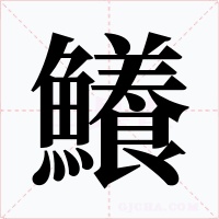 鱶
