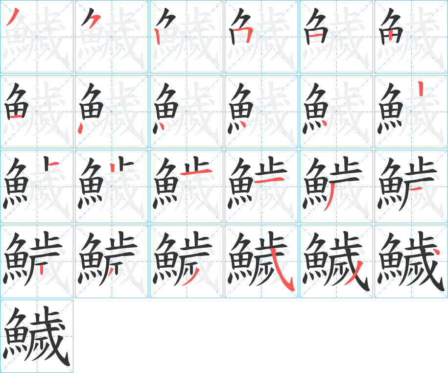 鱥的笔顺写法