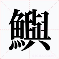 鱮