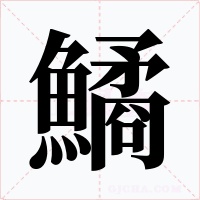 鱊