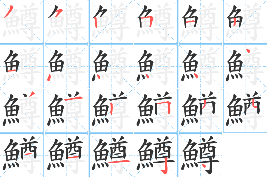 鱒的笔顺写法