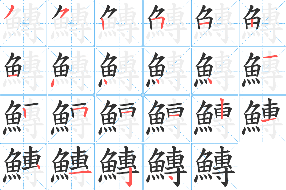 鱄的笔顺写法