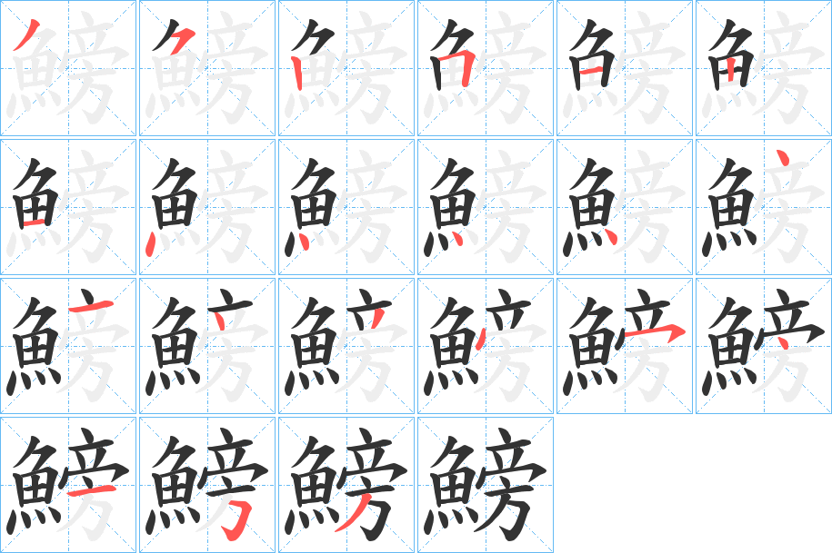 鰟的笔顺写法