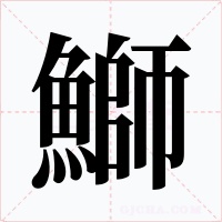 鰤