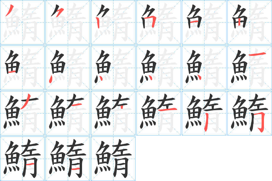 鰖的笔顺写法
