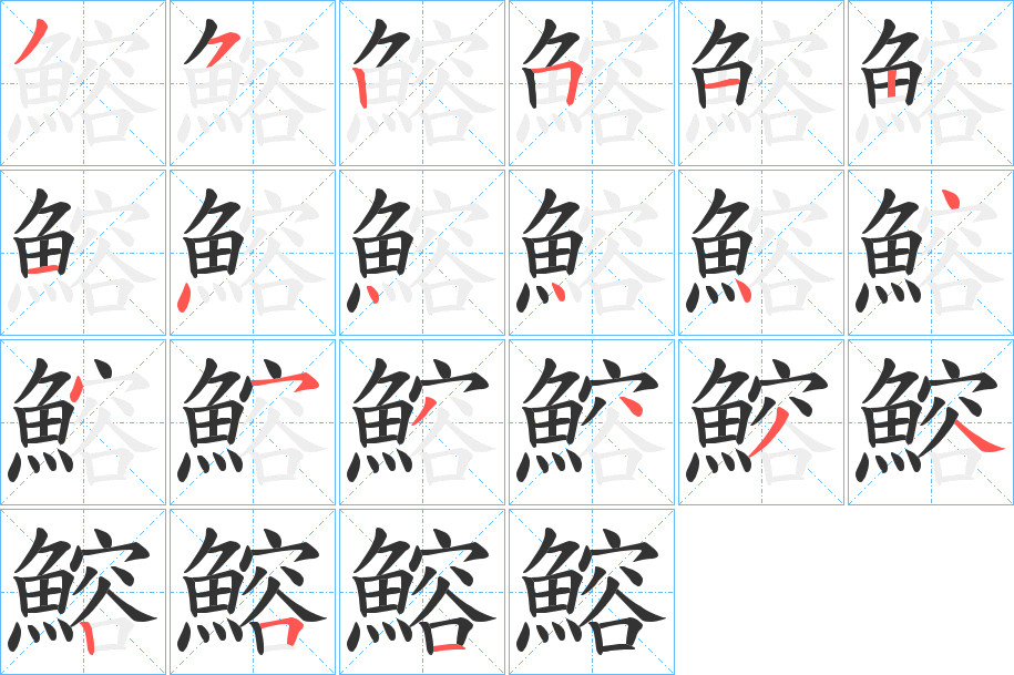 鰫的笔顺写法