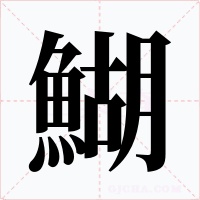 鰗
