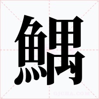 鰅
