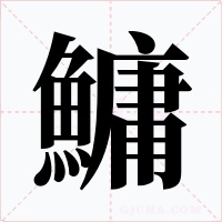 鱅